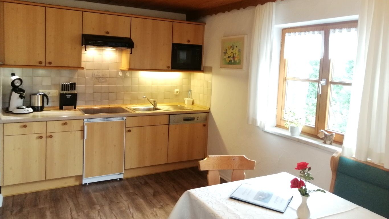Die im Wohnraum integrierte Küchenzeile der Ferienwohnung Nebelhorn