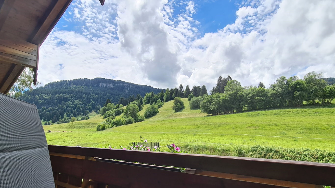 Der Westbalkon mit Ausblick auf den lieblichen Obermaiselsteiner Herrenberg