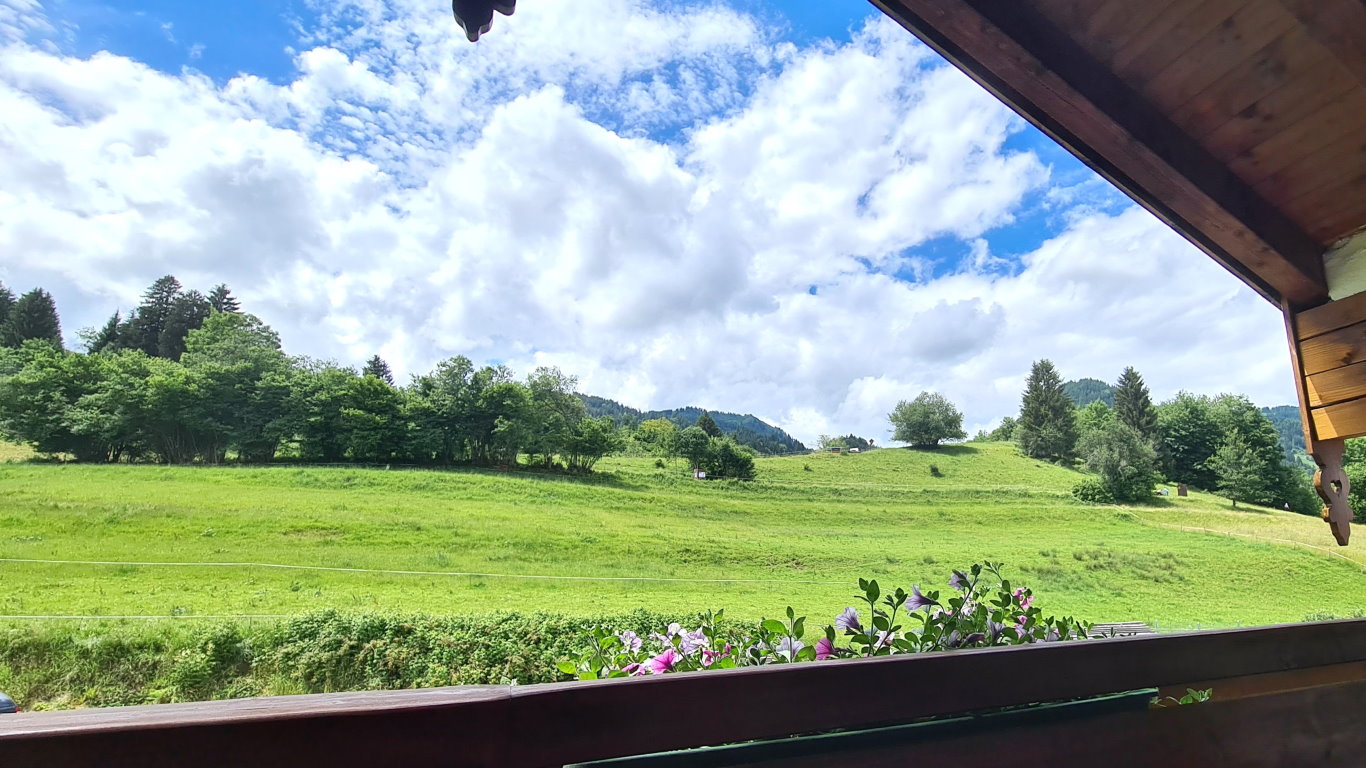 Der Westbalkon mit Ausblick auf den lieblichen Obermaiselsteiner Herrenberg